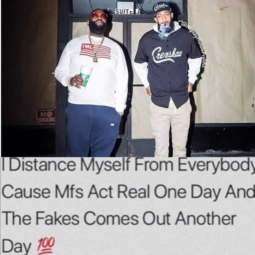 Meet your Posher, Solidredd